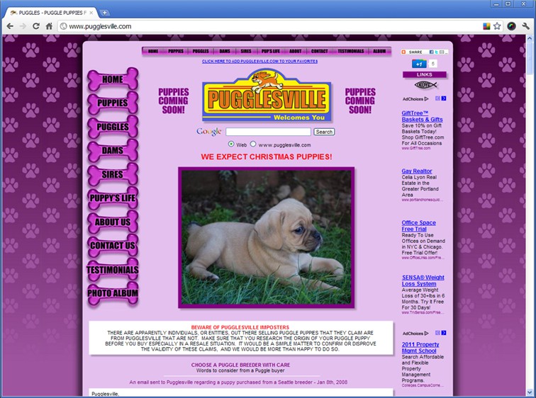 Pugglesville