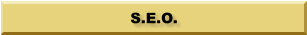 S.E.O.